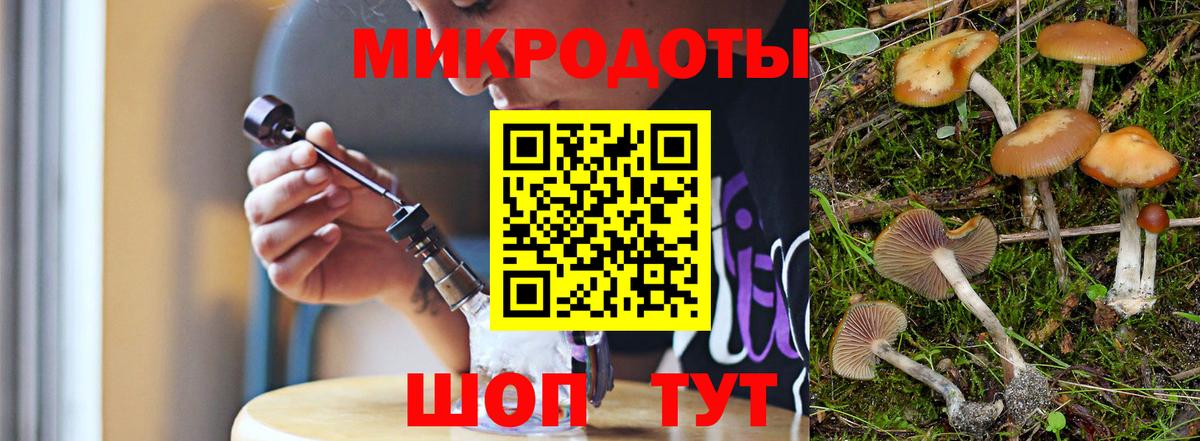 Псилоцибиновые грибы Psilocybe Кыштым