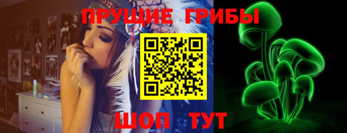 Кыштым  закладка  Вход с VPN  Псилоцибиновые грибы ЛСД 